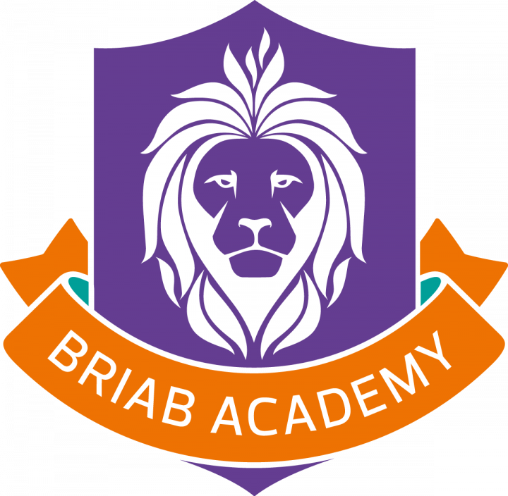 Briab Academy shield